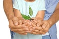 Family holding soil with green plant in hands Royalty Free Stock Photo