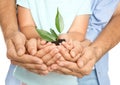 Family holding soil with green plant in hands Royalty Free Stock Photo