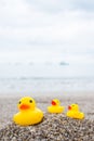 Family holiday concept with rubber ducks walking Royalty Free Stock Photo