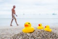 Family holiday concept with rubber ducks walking Royalty Free Stock Photo