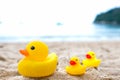 Family holiday concept with rubber ducks walking Royalty Free Stock Photo