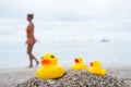 Family holiday concept with rubber ducks walking Royalty Free Stock Photo