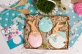 Family holiday present box, gift card, easter rabbits honey-cake