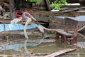 Family house backyard completely destroyed during natural disaster with industrial petrol water pump used to pump flood water next Royalty Free Stock Photo