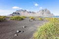 Family in iceland