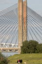 Family leisure at Cable-stayed Martinus Nijhoffbridge over river Waal