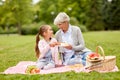 Grandmother and granddaughter at picnic in park Royalty Free Stock Photo