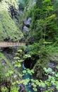 Family and Liechtensteinklamm gorge (Austria)