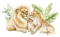 Family of lions African landscape. Father mother child baby. Watercolor Royalty Free Stock Photo