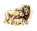 Family of lions from a splash of watercolor Royalty Free Stock Photo