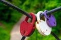 A family of locks - Dad, Mom and Children. Parents and Child. Couple in love. Three locks: purple, red and white, hang on a metal Royalty Free Stock Photo