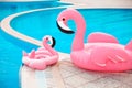 Family look. Two Pink pool floats flamingo by blue water, pool party toy. Giant Inflatable Swimming Ring. Summer vacation holiday