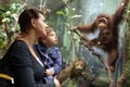 Family looking at monkey