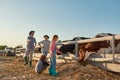 Family looking at their daughter feeding milk cows Royalty Free Stock Photo