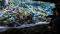 Family looks at colorful corals in beautiful aquarium.