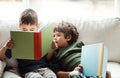 Family makes story time even better. two adorable brothers reading books while relaxing together on the sofa at home. Royalty Free Stock Photo