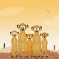 Family of meerkats