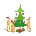 Family of meerkats wearing santa hats and Christmas tree. Royalty Free Stock Photo