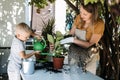 Family mom son and cat Planting Flowers Together. Spring Houseplant Care, repotting houseplants. Happy family mom and