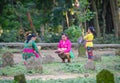 A family making offerings to a deceased loved one in ubud,bali