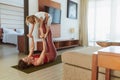 Family. Mother And Daughter Practicing Partner Yoga At Home. Young Woman And Kid Exercising Together. Sporty Parent And Child Royalty Free Stock Photo