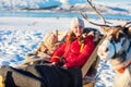 Reindeer safari Royalty Free Stock Photo