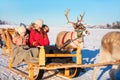 Reindeer safari Royalty Free Stock Photo