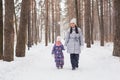 Family, motherhood and nature concept - Mother with her child walking in the winter park Royalty Free Stock Photo