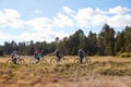 Family mountain biking in countryside, Big Bear, California