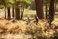 Family mountain biking past lake, Big Bear, California, USA