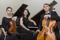 Family music trio. A young violinist and cellist play, the pianist accompanies them Royalty Free Stock Photo