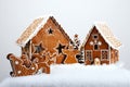 The family near hand-made eatable gingerbread house Royalty Free Stock Photo