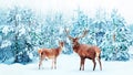 Family of noble deer in a snowy winter. Christmas artistic image. Royalty Free Stock Photo
