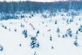 Family of noble deer in a snowy winter forest . Christmas fantasy image in blue and white color. . Snowing. Winter Royalty Free Stock Photo