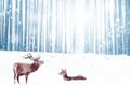 Family of noble deer in a snowy winter forest. Christmas fantasy image in blue. Winter wonderland. Royalty Free Stock Photo