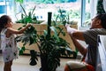 Family oiling the houseplant leaves, taking care of plant Monstera using a cotton sheet. Home gardening