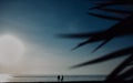 Family with one child stands against sunset sea beach and palms. Tropical vacations concept. silhouette Royalty Free Stock Photo