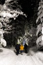 Family outdoor walking together at winter night in light, vertical shot of beautiful snowy landscape in countryside Royalty Free Stock Photo