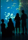 Family Outing at the Aquarium