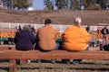 A family of overweight people sitting on a wooden bench on a pumpkin patch.