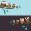 Family of owls