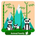 Family panda on the background of bamboo and