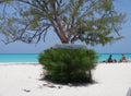 A Family at Paraiso Beach