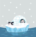 Family penguin sleep in Igloo ice house Royalty Free Stock Photo