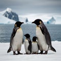 A family of penguins in Antarctica (AI generated image) Royalty Free Stock Photo