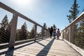 Family people walking wooden treetop bridge canopy walkway in winter Royalty Free Stock Photo