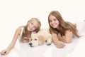 Family pet golden labrador Royalty Free Stock Photo