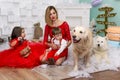 Family photo portrait. Mom and her two children and two white dogs in red clothes celebrate the Chistmas, new year Royalty Free Stock Photo