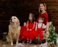 Family photo portrait. Mom and her two children and a white dog in red clothes celebrate the Chistmas, new year. Happy Royalty Free Stock Photo