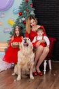 Family photo portrait. Mom and her two children and a white dog in red clothes celebrate the Chistmas, new year. Happy Royalty Free Stock Photo